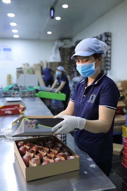 UK market for VN produce needs to be further unlocked