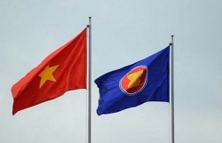 Vietnam makes responsible contributions to ASEAN: deputy spokesperson