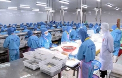VASEP wants greater imports of raw seafood materials