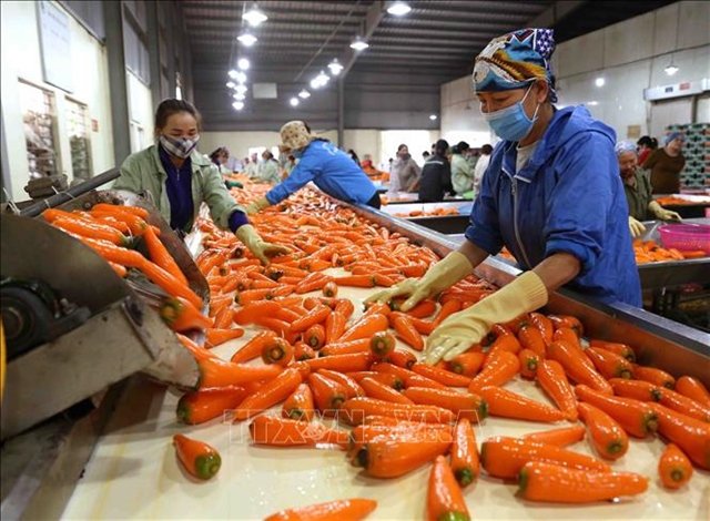 Việt Nam aims to be one of top ten global farm produce processors