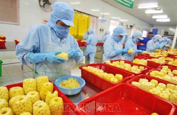 Vietnam eyes global top 10 in agricultural processing hinh anh 1