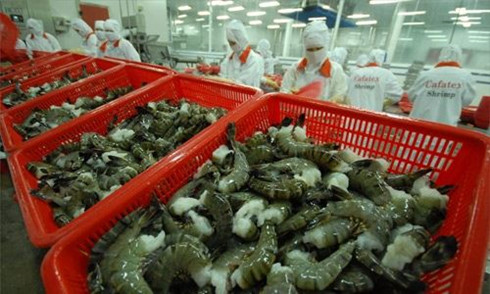 vietnam us strike deal to end shrimp fight