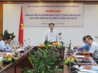 Vietnam experiences extensive economic integration