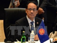 ASEAN leader highlights milestones in bloc’s 50-year history