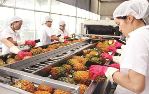 vietnam expands fruit and vegetable export market