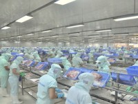 US catfish feeding program in Vietnam successful
