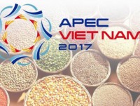 Vietnam continues priorities of APEC Year 2017