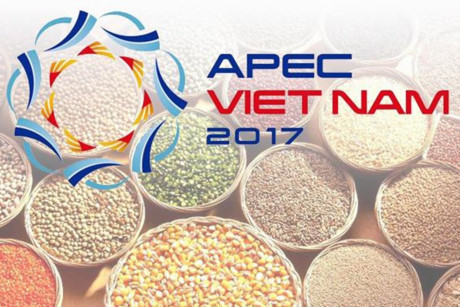 vietnam continues priorities of apec year 2017