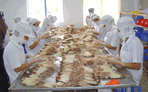 cuttlefish octopus exports to rok up 405