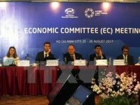 Host Vietnam makes good impressions in APEC SOM3