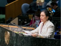 UN peacekeeping operations need reform: Ambassador Nga