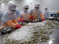difficulties in shrimp exports to the eu