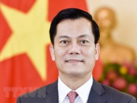 Vietnam-US ties see remarkable progress in all fields: Ambassador