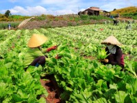 Vietnam boasts huge potential for green growth