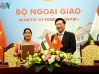 Great strides in Vietnam-India traditional friendship