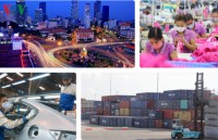 EVFTA set to leverage Vietnam - Germany economic cooperation
