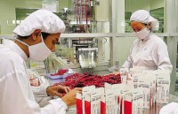 First foreign pharma firm licensed to directly import drugs in Vietnam