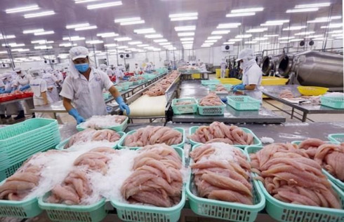 seafood exports to china on the mend