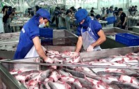 Falling tra fish price poses threat to aquatic export target