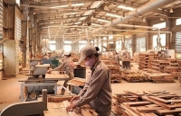 Wood exports to EU anticipated to make breakthroughs