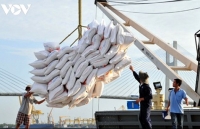 Rice exports enjoy robust growth despite COVID-19 threat