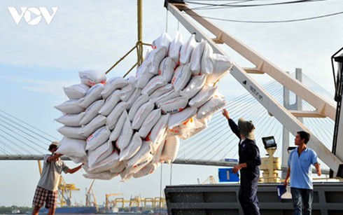 rice exports enjoy robust growth despite covid 19 threat