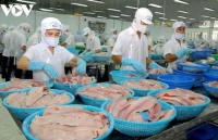 Aquatic exports set to reach US$8.3 billion amid signs of recovery