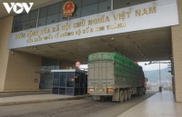 Lao Cai border gates sees boost in import-export activities amid COVID-19