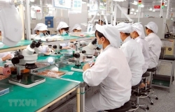 Vietnam"s exports of phones, components continue to surge