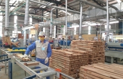 Vietnam’s wood product export to France, Europe has good prospect