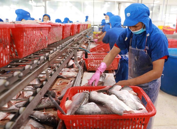 Vietnam poised to become world’s leading seafood processing centre hinh anh 1