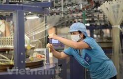Vietnam forecast to grow by 4.8 percent in 2021: World Bank