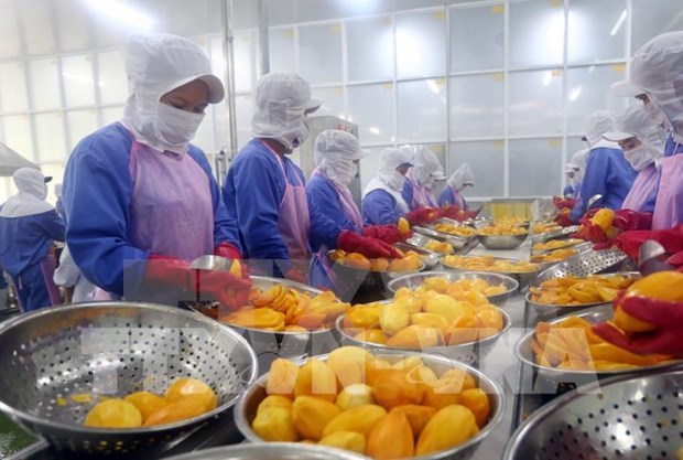 Vietnam gains stronger foothold in EU market two years after EVFTA takes effect hinh anh 3