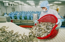 Seafood exports expected to reach 3 billion USD in Q3