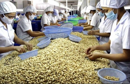 Cashew industry urged to focus on markets with FTAs
