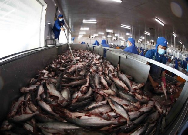 Seafood companies face a difficult third quarter hinh anh 1