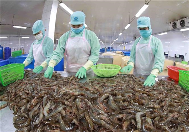 Việt Nam's seafood industry needs to adapt to market trends