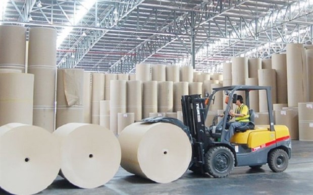 Paper industry expects to maintain high growth momentum hinh anh 1