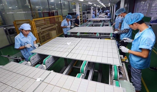 Record rise seen in number of new, resuming firms in 8 months hinh anh 1