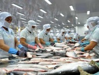 Catfish exports now face tougher US inspections