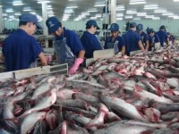 control of catfish exports to china