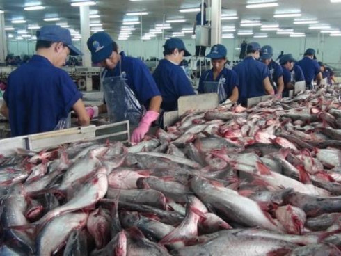 us raises anti dumping duties on vietnams frozen catfish fillets