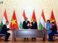 Vietnam, Hungary seek ways to further all-around cooperation