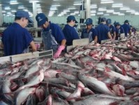 VN firms seek markets for tra fish