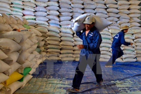 rice exporters advised to diversify markets