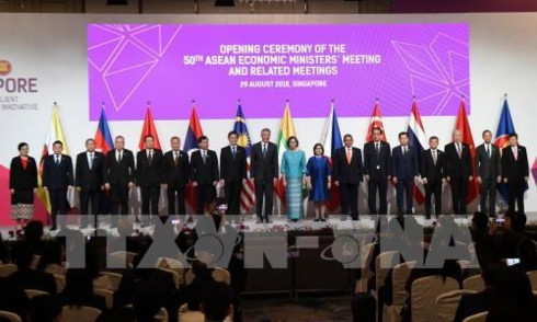 vietnam seeks multilateral trade cooperation at aem 50