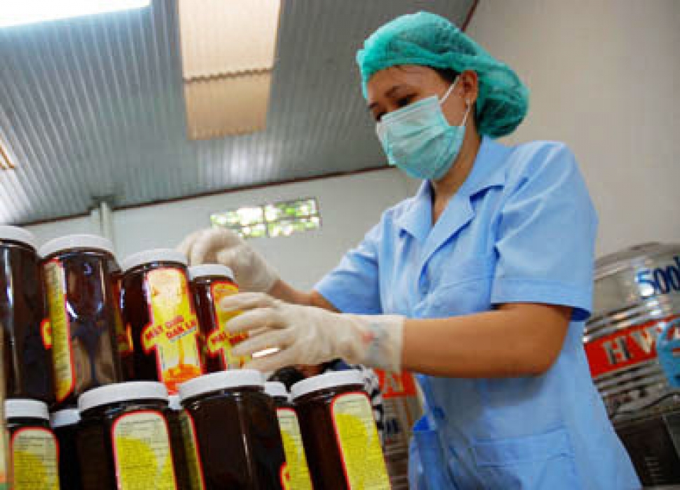 professional development to elevate the export of honey