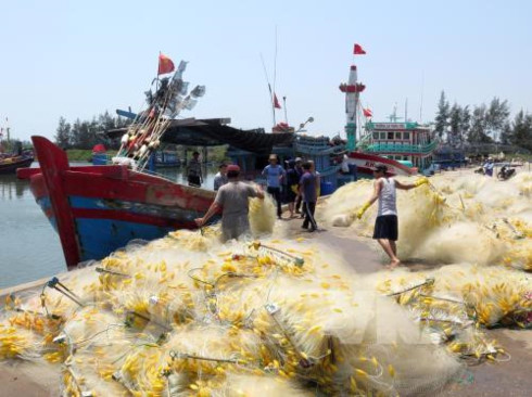da nang works to increase traceability of seafood products