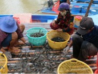 the seafood companies push export turnover in the last months of the year