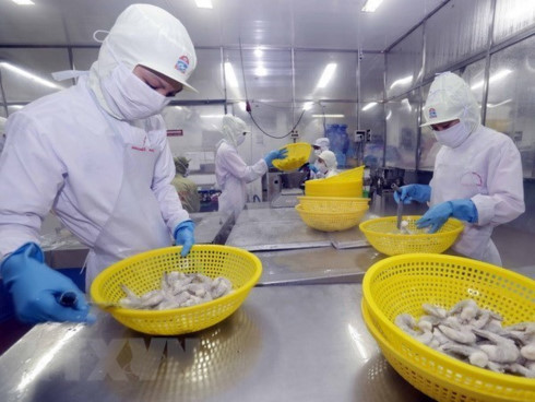 2018 tough year for shrimp exports